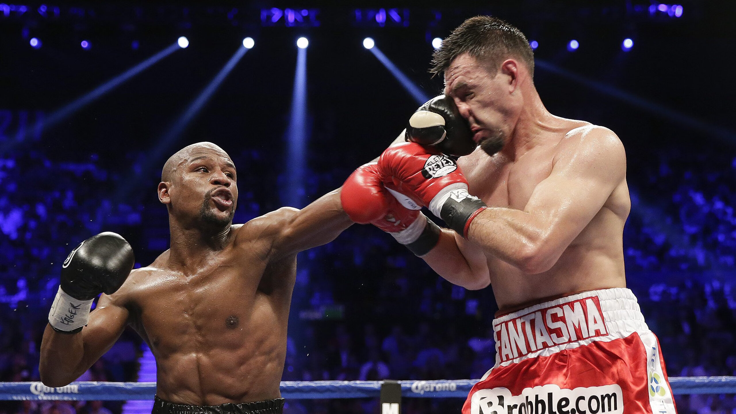 橄榄球志愿服务体系逐步完善，橄榄球专项运动员能上哪些大学