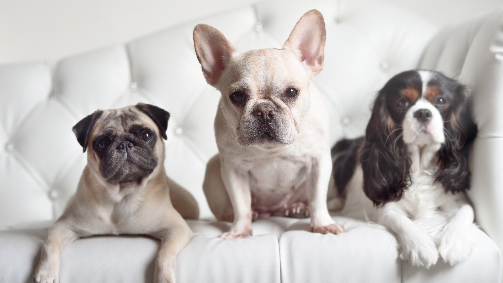 _篮网火力全开，联盟第一步步兑现_，篮网出战