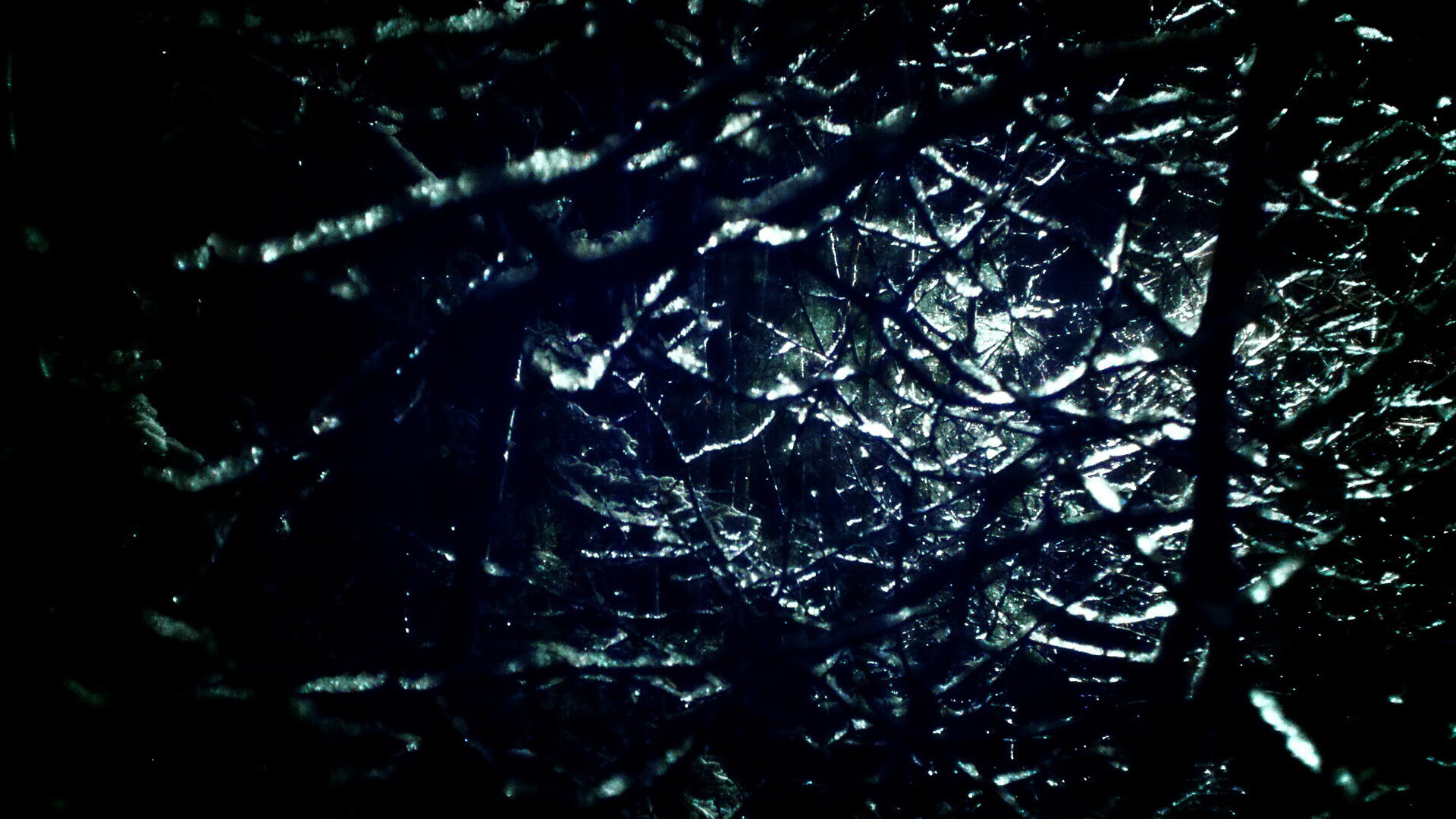 _篮网火力全开，联盟第一步步兑现_，篮网出战