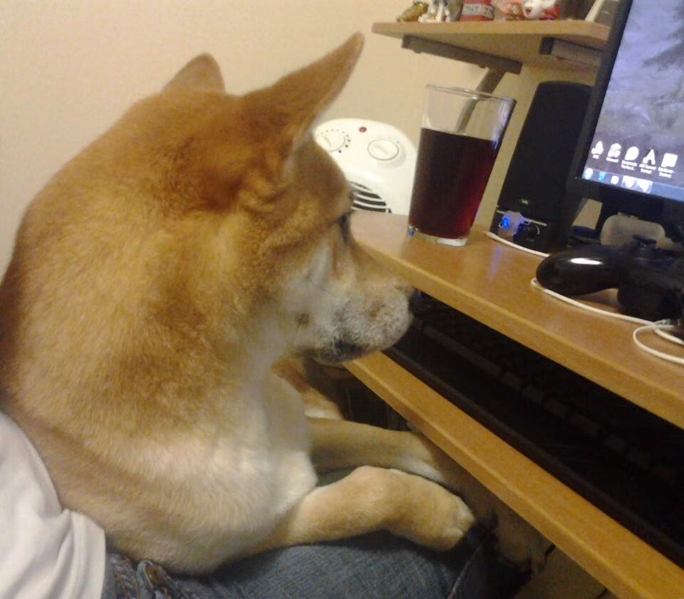 _现场观众热情高涨：气氛点燃比赛热度_，比赛气氛热烈,现场掌声不断