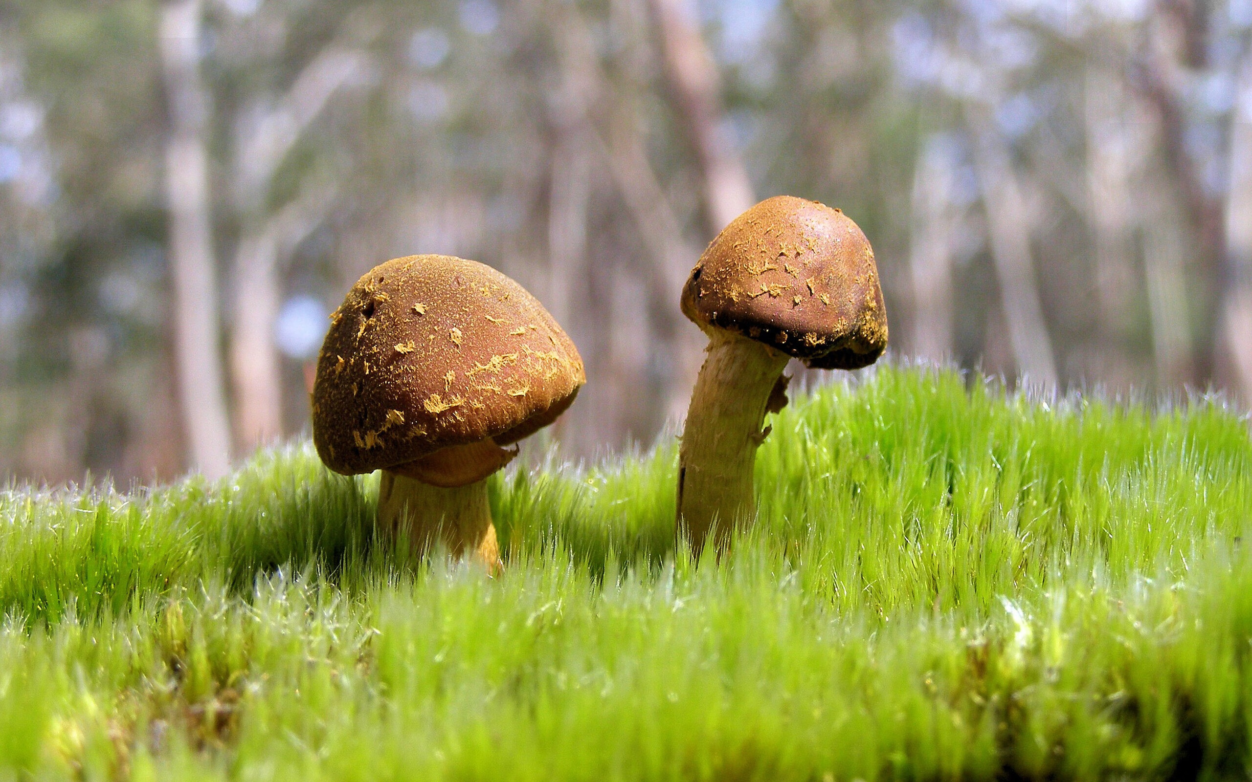 _科技体验赛：AR增强现实带来的沉浸式体验_，ar互动科技体验馆