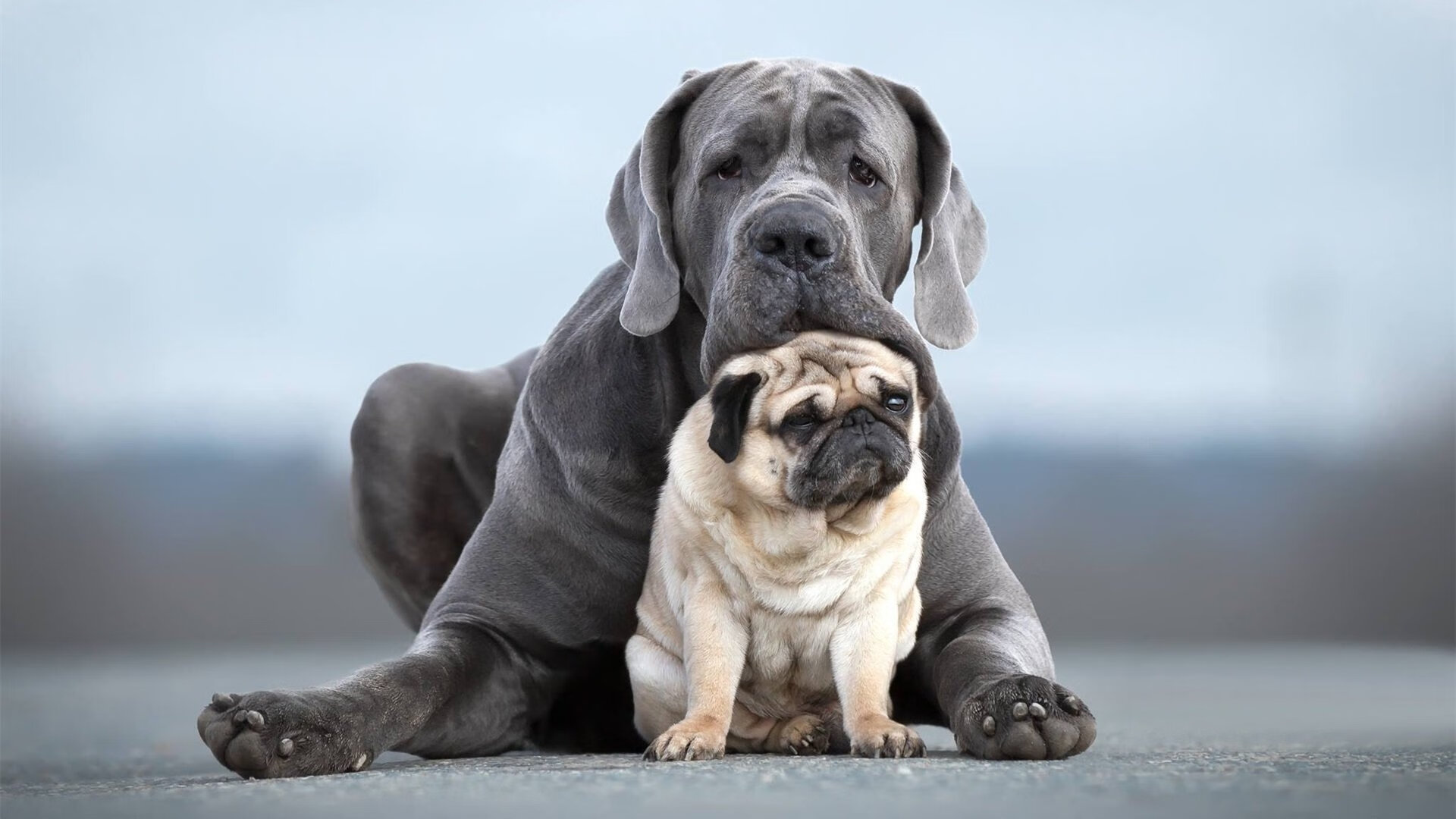 《英雄联盟洲际赛，激情碰撞火花四射》，英雄联盟洲际赛规则2018